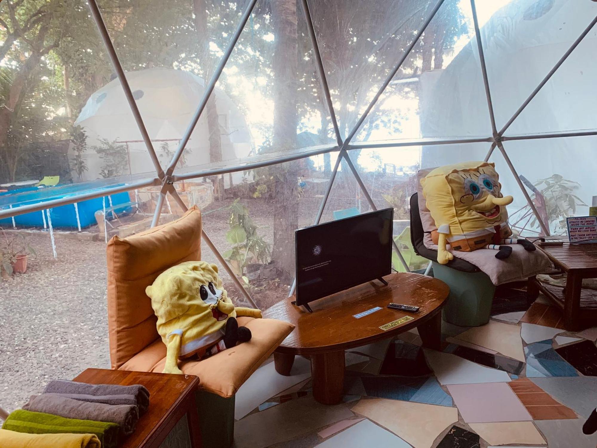 Glamping Dome Dauin Beach Resort Exterior photo